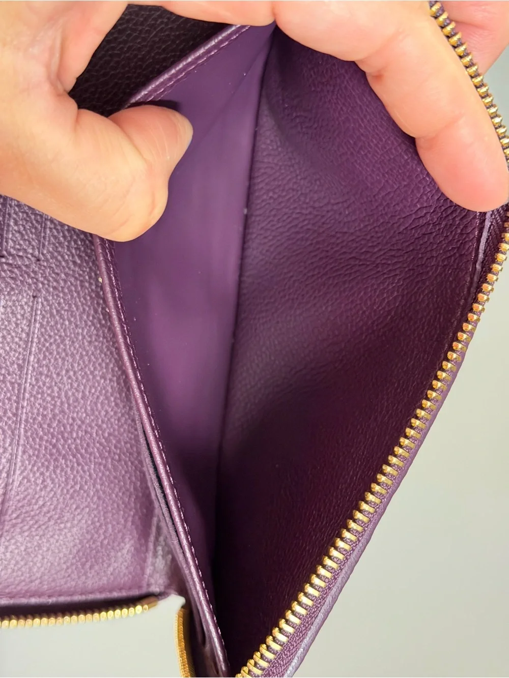 Louis Vuitton large zippy Wallet in Monogram Empreinte leather